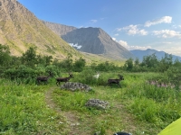 ��������� - ���������� ����� ���������� ����