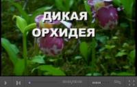 ����� �������. ����� ��� � �������� ��������� - ���������� ����� ���������� ����